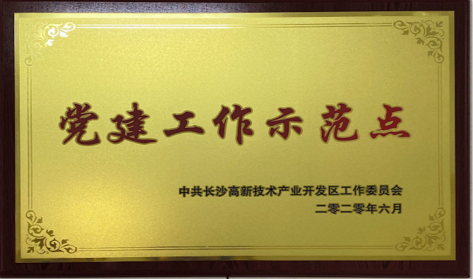 长沙高新区党工委授予中共新葡萄8883官网AMG股份有限公司委员会“党建工作示范点”“优秀党务工作者”荣誉称号